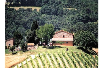 Pension de famille Castelnuovo della Misericordia 4